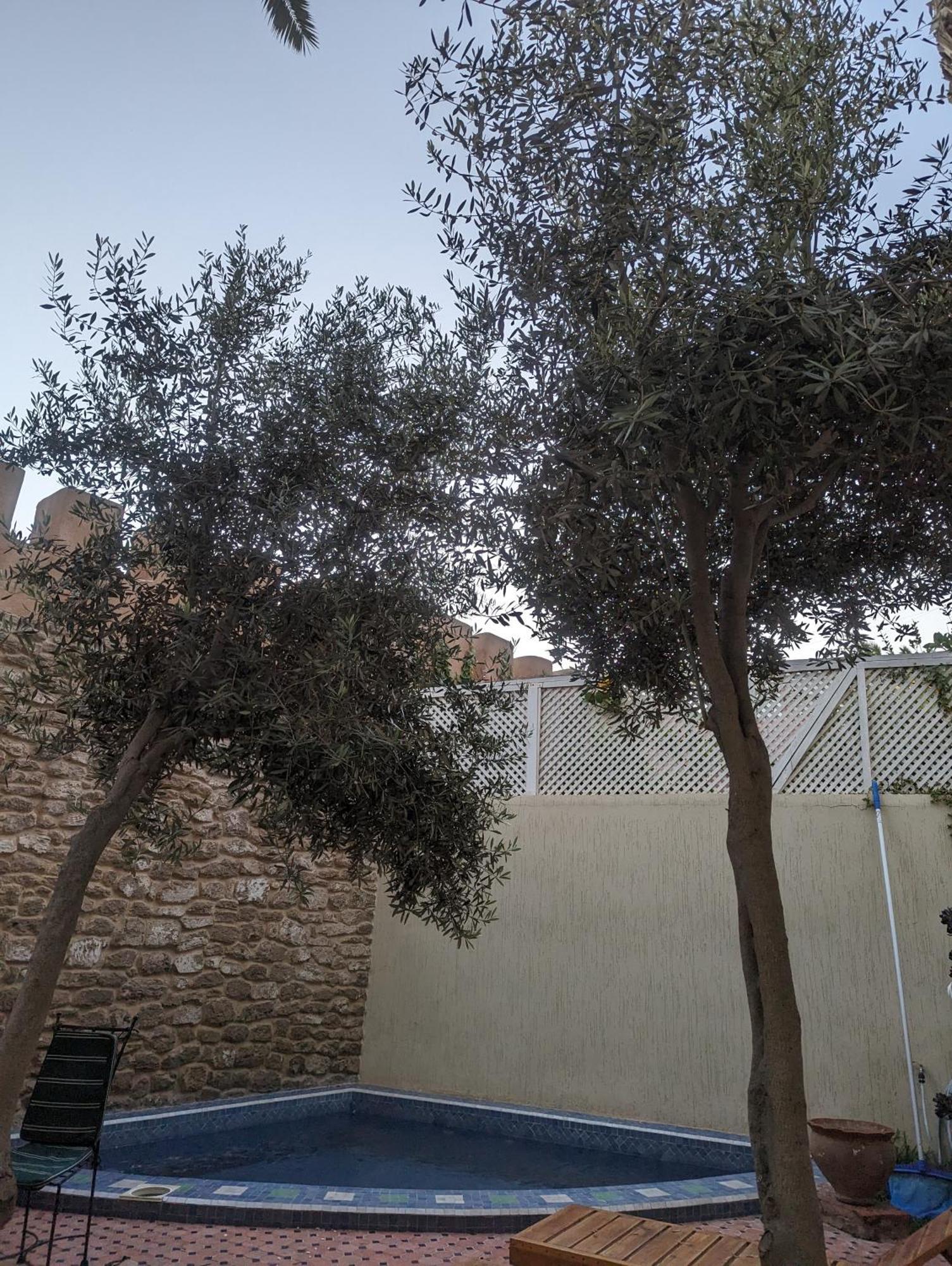 Aghata Palms Riad الصويرة المظهر الخارجي الصورة